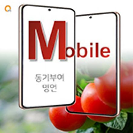 Mobile version